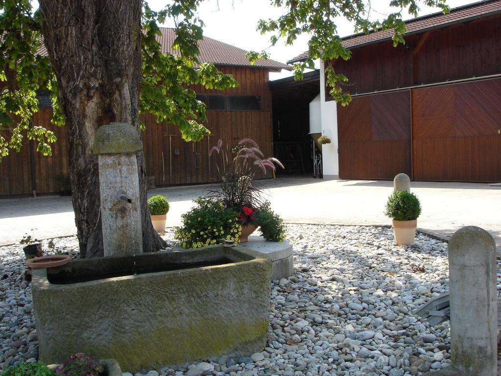 Gaestehaus Wildgehege Wilhelm Exterior photo